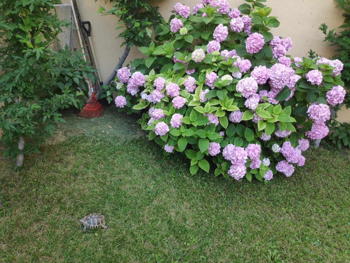 Spacious Apartment With Big Garden Near Beach Σπλιτ Εξωτερικό φωτογραφία